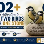 102+ Good Alternatives to Kill Two Birds With One Stone