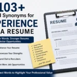 103+ Good Synonyms for Experience on a Resume