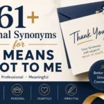 61+ Formal Synonyms for It Means a Lot to Me