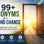 99+ Synonyms for Second Chance